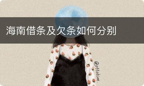 海南借条及欠条如何分别