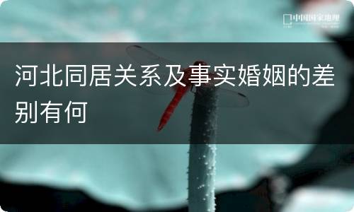 河北同居关系及事实婚姻的差别有何