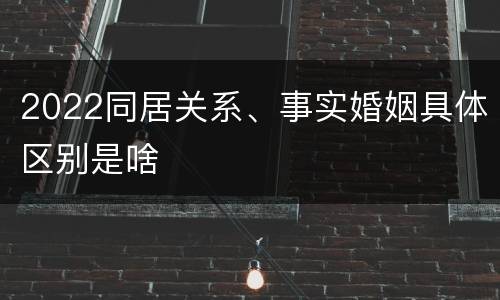 2022同居关系、事实婚姻具体区别是啥