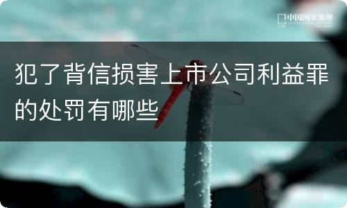 犯了背信损害上市公司利益罪的处罚有哪些