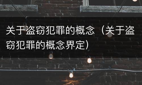 关于盗窃犯罪的概念（关于盗窃犯罪的概念界定）