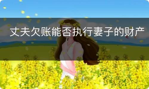  丈夫欠账能否执行妻子的财产