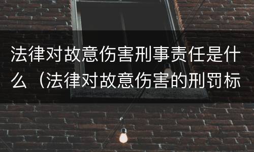 法律对故意伤害刑事责任是什么（法律对故意伤害的刑罚标准）