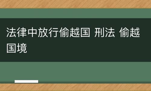 法律中放行偷越国 刑法 偷越国境
