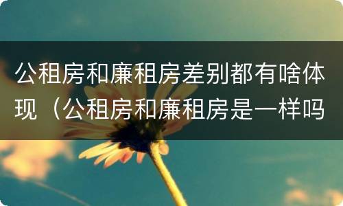 公租房和廉租房差别都有啥体现（公租房和廉租房是一样吗）