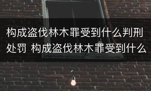 构成盗伐林木罪受到什么判刑处罚 构成盗伐林木罪受到什么判刑处罚决定