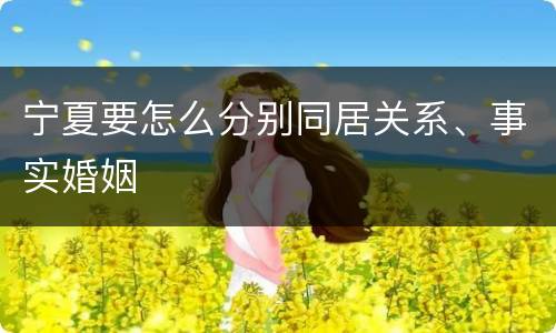 宁夏要怎么分别同居关系、事实婚姻