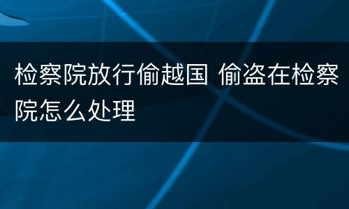 检察院放行偷越国 偷盗在检察院怎么处理
