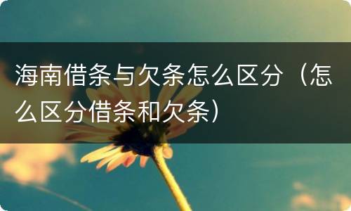 海南借条与欠条怎么区分（怎么区分借条和欠条）