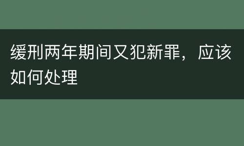 缓刑两年期间又犯新罪，应该如何处理