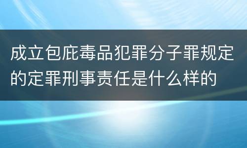 成立包庇毒品犯罪分子罪规定的定罪刑事责任是什么样的