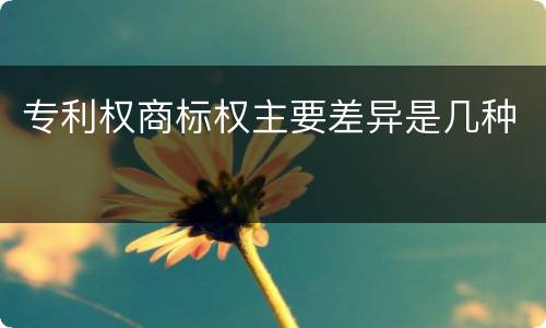 专利权商标权主要差异是几种