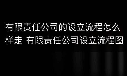 有限责任公司的设立流程怎么样走 有限责任公司设立流程图