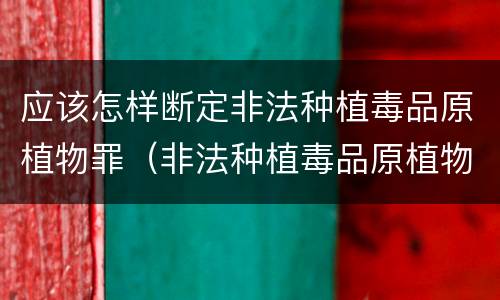 应该怎样断定非法种植毒品原植物罪（非法种植毒品原植物罪情节严重的三种情形）