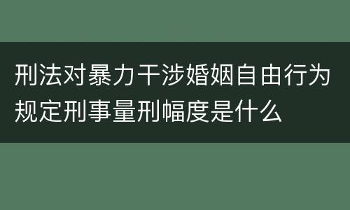 刑法对暴力干涉婚姻自由行为规定刑事量刑幅度是什么