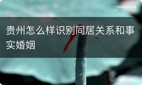 贵州怎么样识别同居关系和事实婚姻
