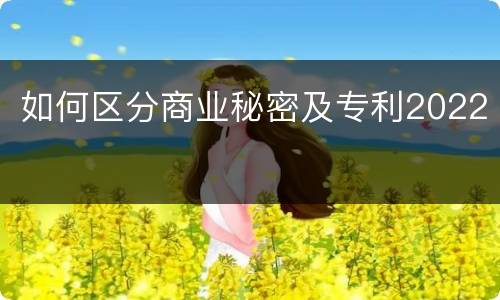 如何区分商业秘密及专利2022