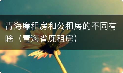 青海廉租房和公租房的不同有啥（青海省廉租房）