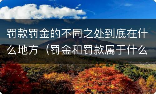 罚款罚金的不同之处到底在什么地方（罚金和罚款属于什么,区别在哪儿）