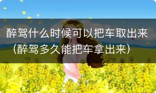 醉驾什么时候可以把车取出来（醉驾多久能把车拿出来）