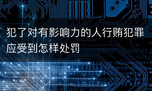犯了对有影响力的人行贿犯罪应受到怎样处罚