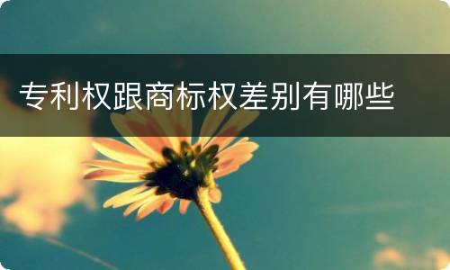 专利权跟商标权差别有哪些