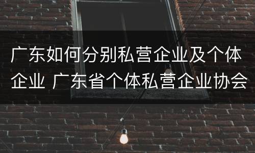 广东如何分别私营企业及个体企业 广东省个体私营企业协会