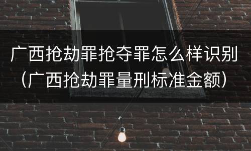 广西抢劫罪抢夺罪怎么样识别（广西抢劫罪量刑标准金额）