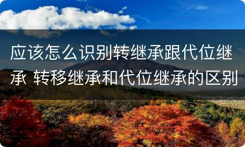 应该怎么识别转继承跟代位继承 转移继承和代位继承的区别