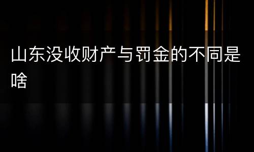 山东没收财产与罚金的不同是啥