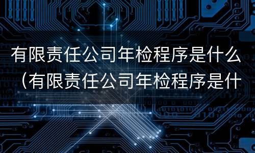 有限责任公司年检程序是什么（有限责任公司年检程序是什么样的）