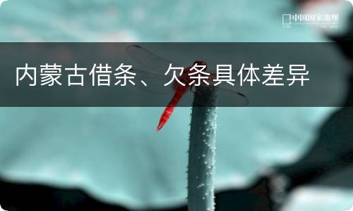 内蒙古借条、欠条具体差异