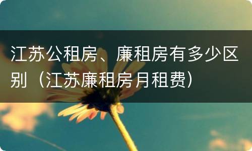 江苏公租房、廉租房有多少区别（江苏廉租房月租费）