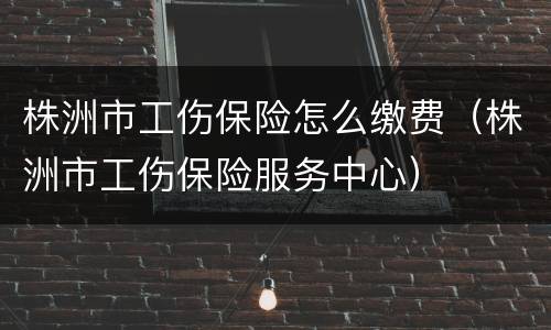 株洲市工伤保险怎么缴费（株洲市工伤保险服务中心）