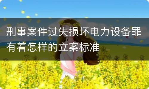 刑事案件过失损坏电力设备罪有着怎样的立案标准