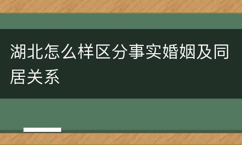 湖北怎么样区分事实婚姻及同居关系