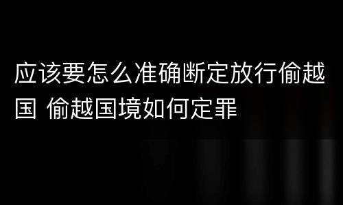应该要怎么准确断定放行偷越国 偷越国境如何定罪