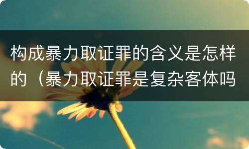 构成暴力取证罪的含义是怎样的（暴力取证罪是复杂客体吗）