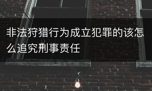 非法狩猎行为成立犯罪的该怎么追究刑事责任