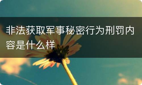 非法获取军事秘密行为刑罚内容是什么样