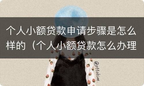 个人小额贷款申请步骤是怎么样的（个人小额贷款怎么办理?）