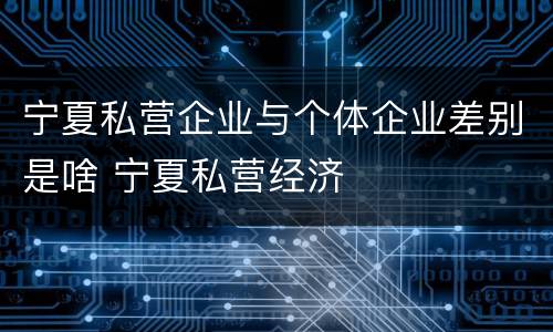 宁夏私营企业与个体企业差别是啥 宁夏私营经济