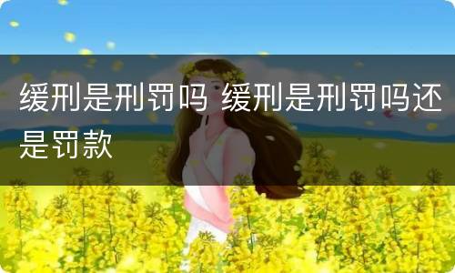 缓刑是刑罚吗 缓刑是刑罚吗还是罚款