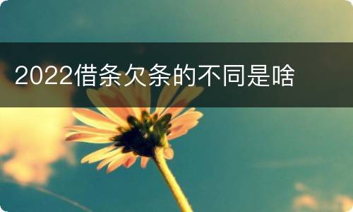 2022借条欠条的不同是啥