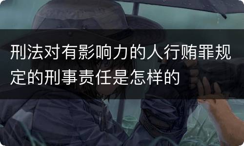 刑法对有影响力的人行贿罪规定的刑事责任是怎样的