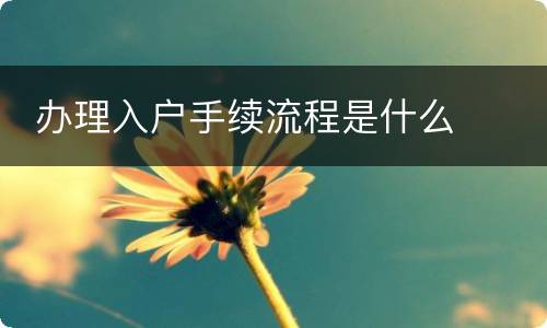  办理入户手续流程是什么