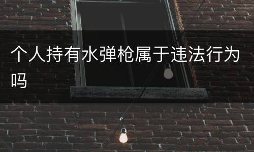 个人持有水弹枪属于违法行为吗