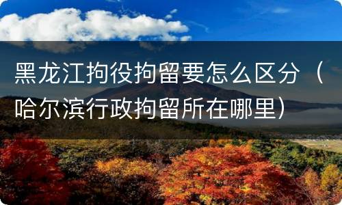 黑龙江拘役拘留要怎么区分（哈尔滨行政拘留所在哪里）