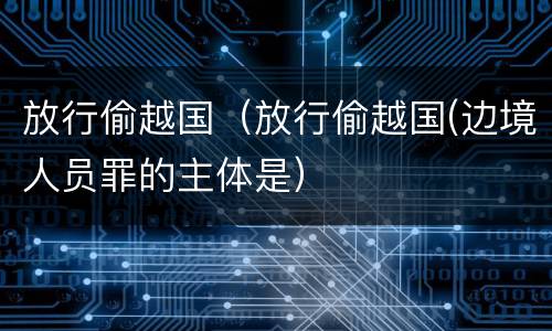 放行偷越国（放行偷越国(边境人员罪的主体是）