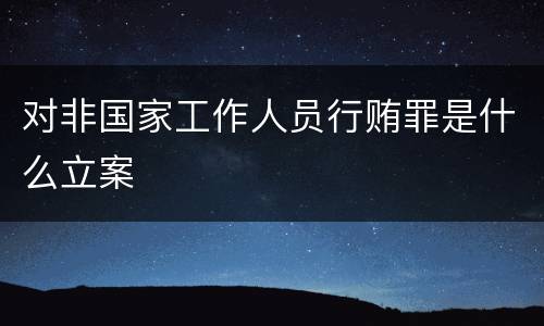 对非国家工作人员行贿罪是什么立案